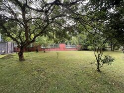 Lornie Road (D11), Semi-Detached #458170241